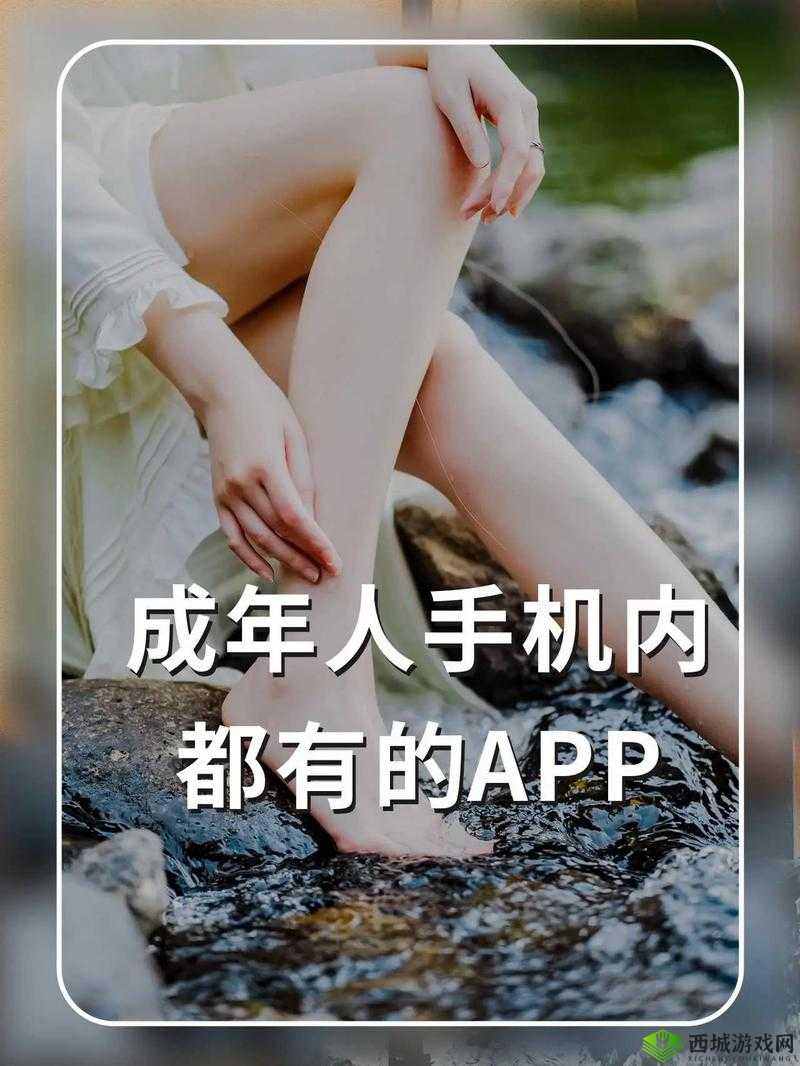 成人之间的私密互动:探索 A 级体验的奥秘