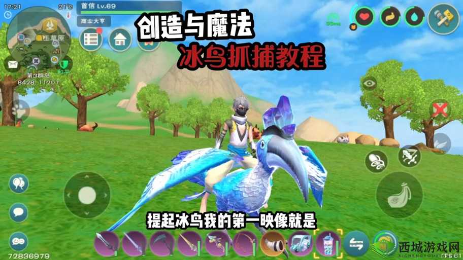 创造与魔法,揭秘公牛抓捕秘籍,小麦诱惑下的驯服之旅