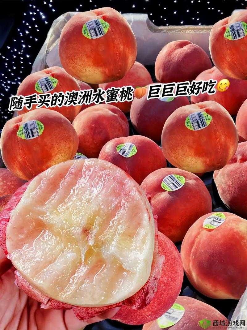 美国的水蜜桃 3:多汁甜美,口感绝佳的水果选择
