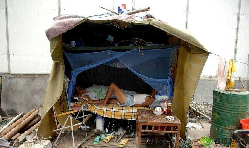 农民工工棚内嫖妓全过程被拍下:他们的无奈与尊严