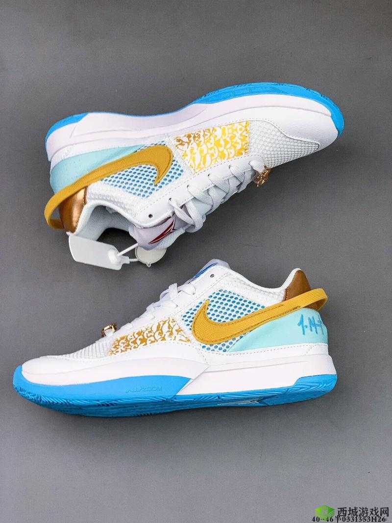 Zoom 与人性 Zoom1 的区别在哪里?