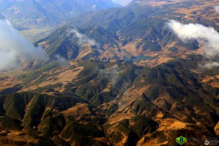 三年中文在线观看免费大全中国大地资源:深度解析与全方位展示