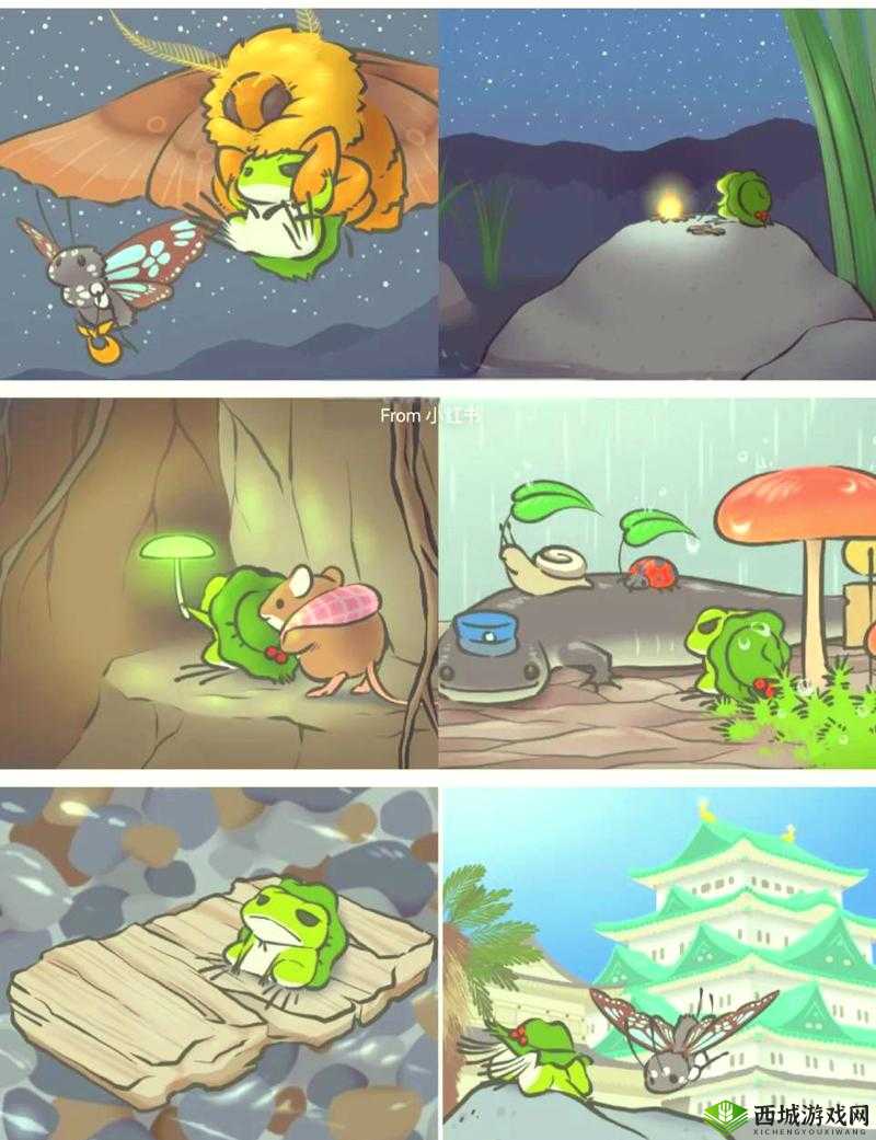 旅行青蛙,呱呱的奇妙朋友圈大揭秘