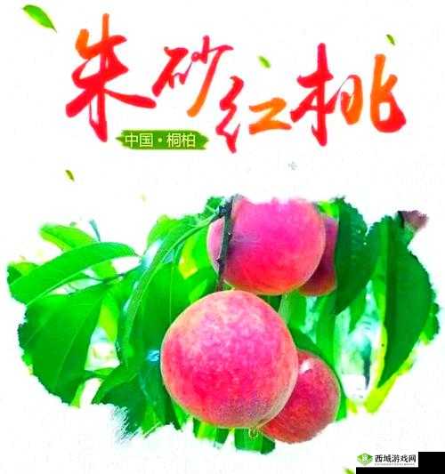 红桃国产:致力于打造优质的国产产品系列