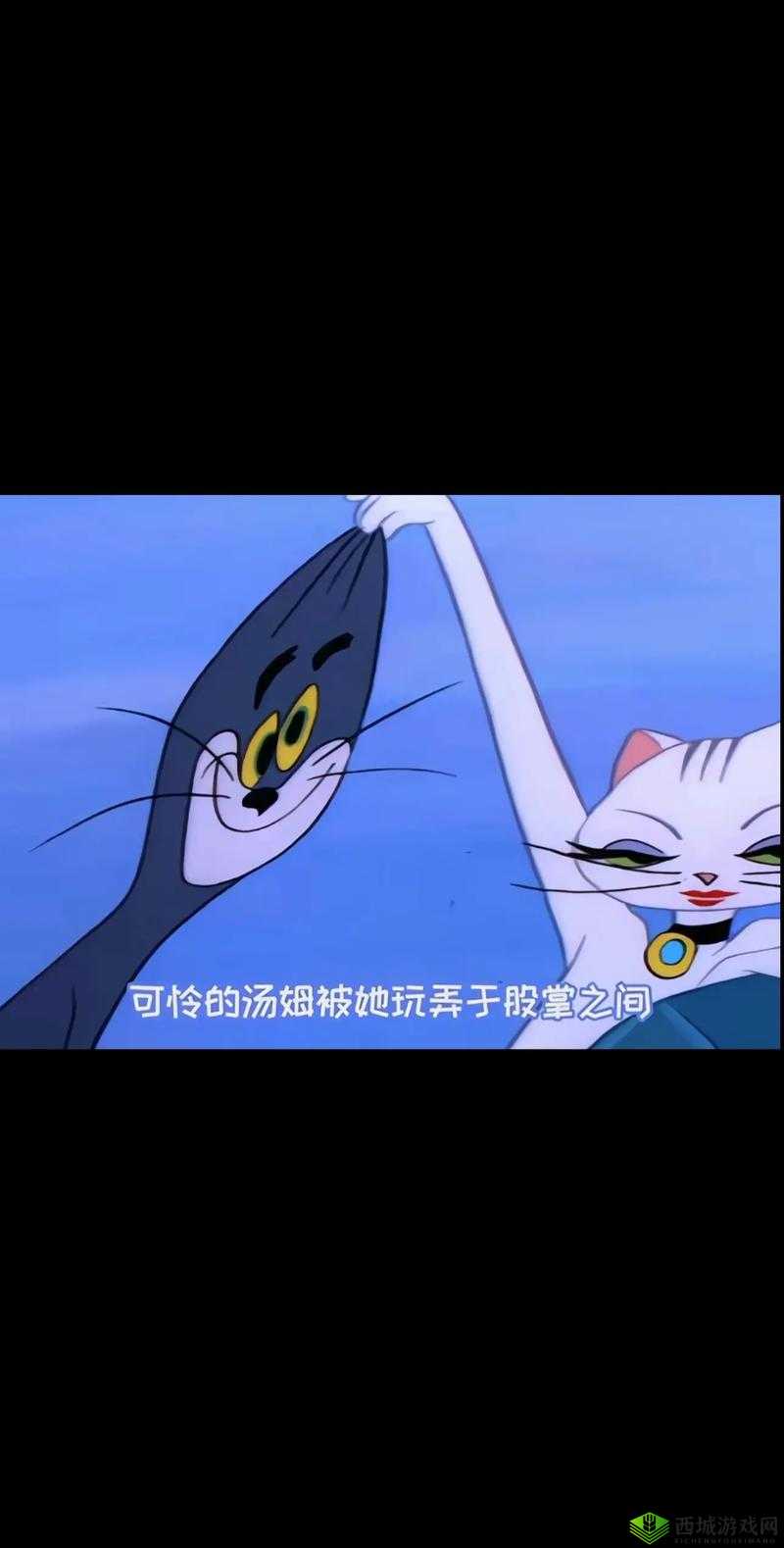 汤姆影院入口 tom:提供精彩影视的便捷通道