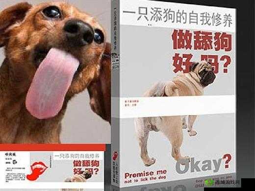 啊~你 TM 别舔了:舔狗的自我修养