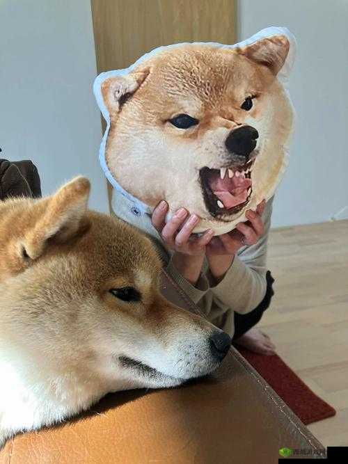 快拔出来我是麻麻这到底是怎么回事呀