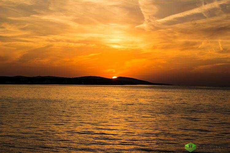 爱情岛论坛进入路线:带你走进浪漫的情感交流天地