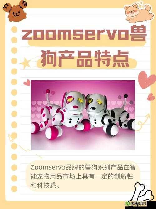 兽王ZOOMSERVO 兽狗产品优势:性能卓越品质可靠功能多样