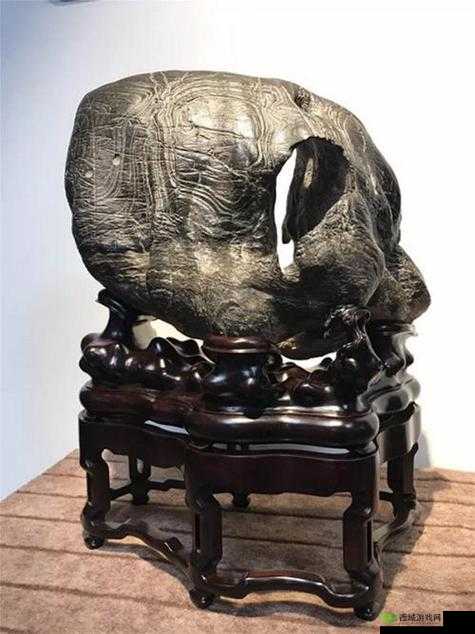 女生小底座的胸好看还是大底座:胸部之美各有千秋探讨