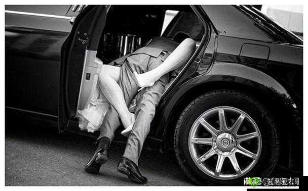 公侵犯美丽人妻 HD：道德与法律的边界