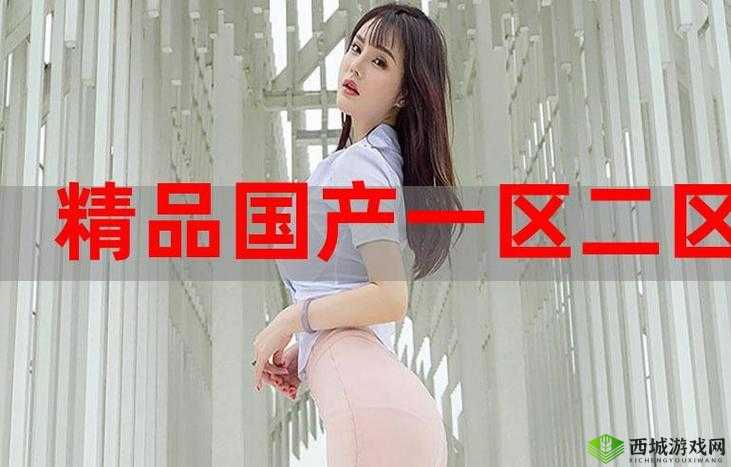 国精产品自偷自偷引发的深刻思考与探讨