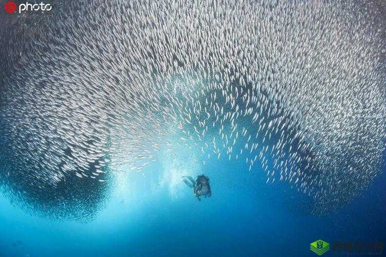 高端大气,震撼刺激:颜射吞精,体验巅峰快感