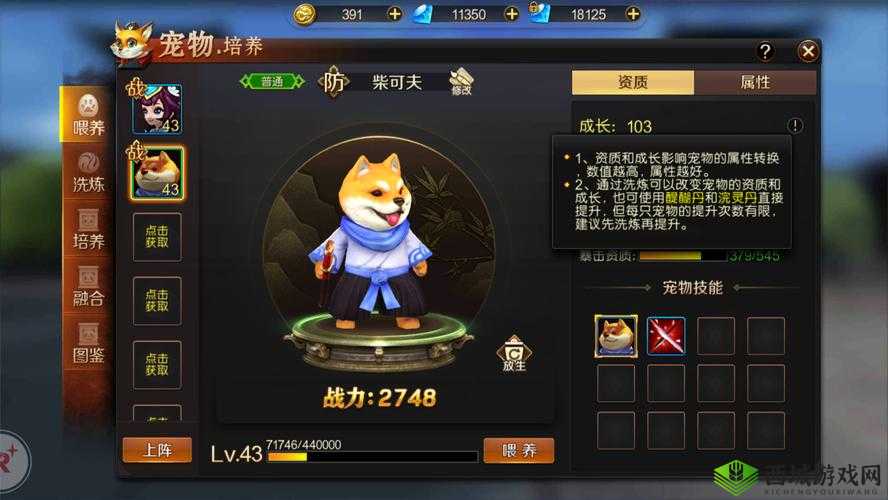 刀锋无双2激萌爱宠大作战，宠物系统深度探索