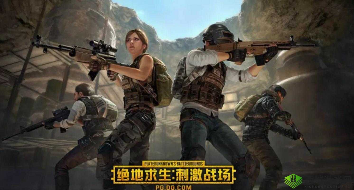 绝地求生刺激战场,娱乐模式战术竞技的深度探索