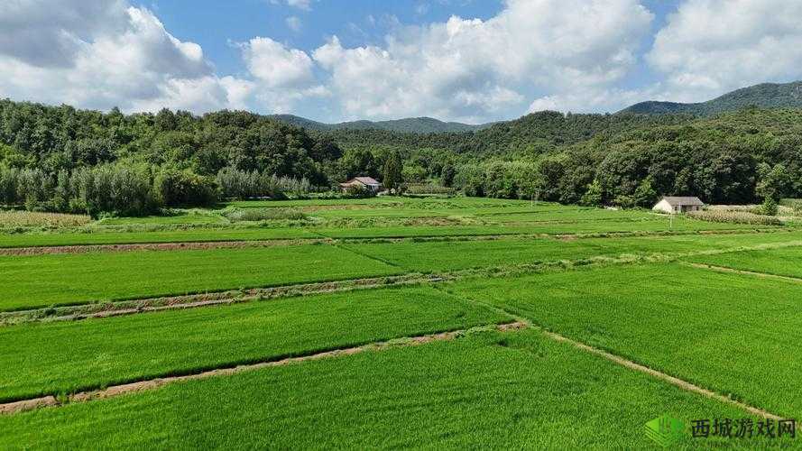 废土之上,绿意盎然,用木头与草编织的农田梦