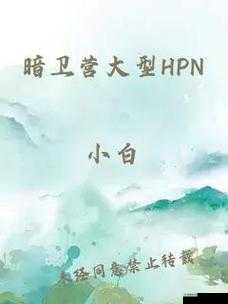 暗卫营大型 HPN:神秘力量的崛起与探索