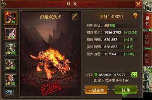 黄金裁决，探索最强战宠的奥秘