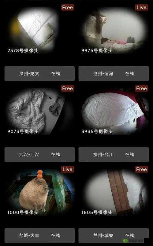 经典偷窥盗摄 7777777:揭秘隐私的黑暗世界