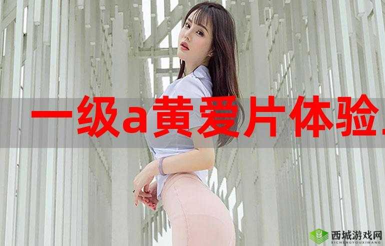 以色黄 a 级为中心,探讨成人内容的影响与挑战