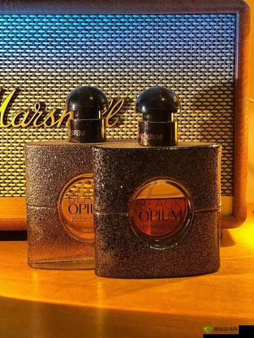 YSL 千人千色 T9T9T9T9T9 资源失效了：真的太遗憾了怎么办呀