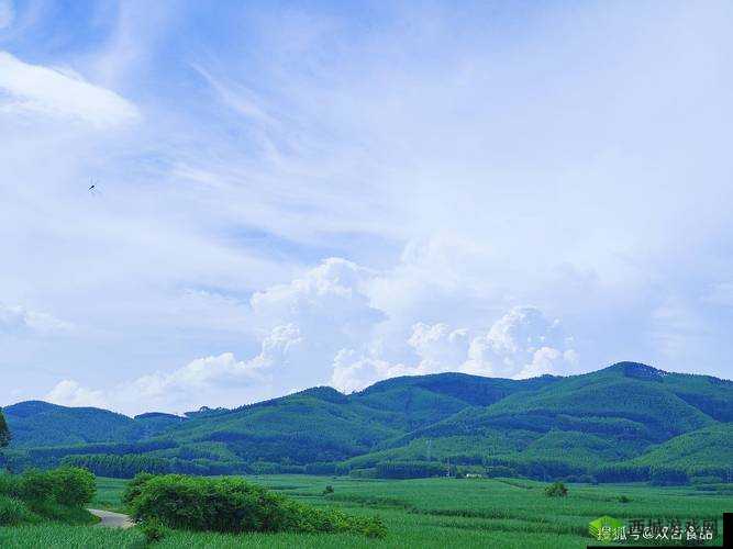 俺来也新址:开启全新征程的起点与希望之地