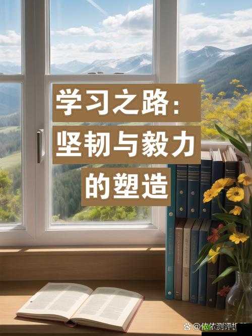 晓可耐性:探索坚韧与毅力的奥秘
