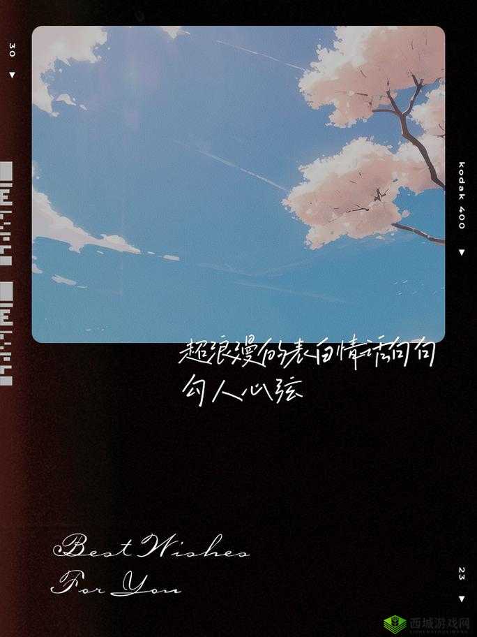 如何用我的手指搅乱你的心弦：开启浪漫情感之旅