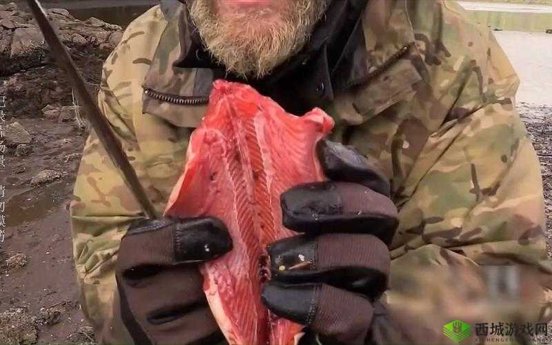 西北君君野战ⅩNⅩⅩCOM:揭秘荒野求生的神秘面纱