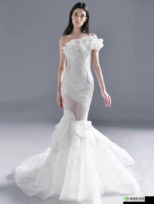 全新系列 XXXXXX69HD：打造非凡视觉盛宴