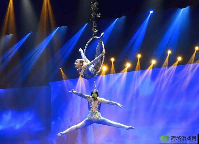 大型杂技表演:XXXXX 之完整性