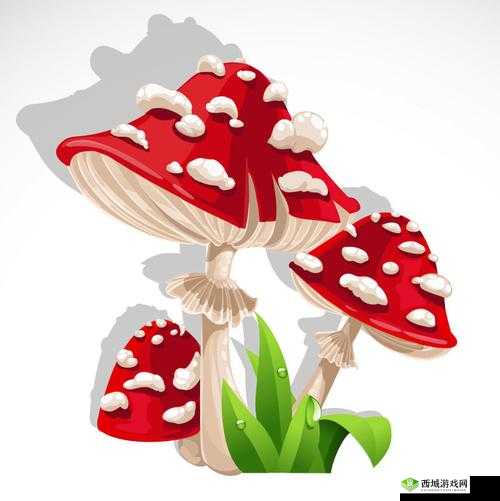 蘑菇视频红色 logo 着色:展现独特魅力与精彩内容