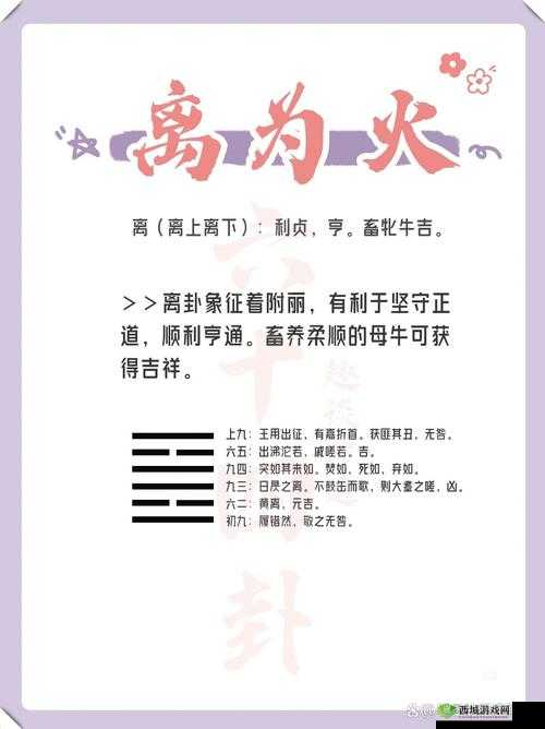 696969 大但人正道:追求真理,坚守正道