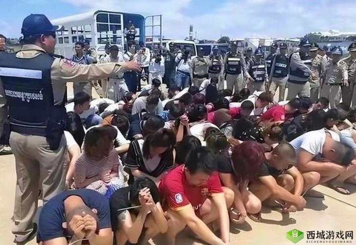 缅甸十大黄禁免费看:揭秘缅甸产业背后的真相