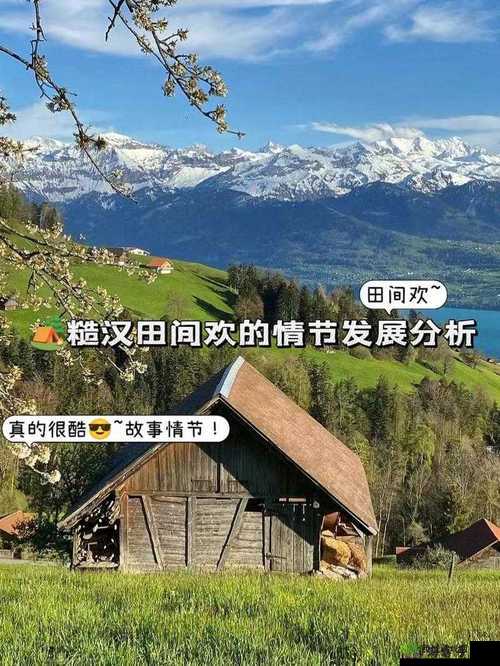 糙汉田间欢情节发展分析:从相遇至情感纠葛的起伏变化