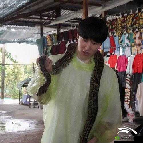 HLE 官推分享越南行返图:探索越南文化的精彩瞬间