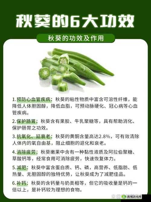 香蕉菠萝水蜜桃黄瓜丝瓜秋葵评测:全方位口感与营养解析