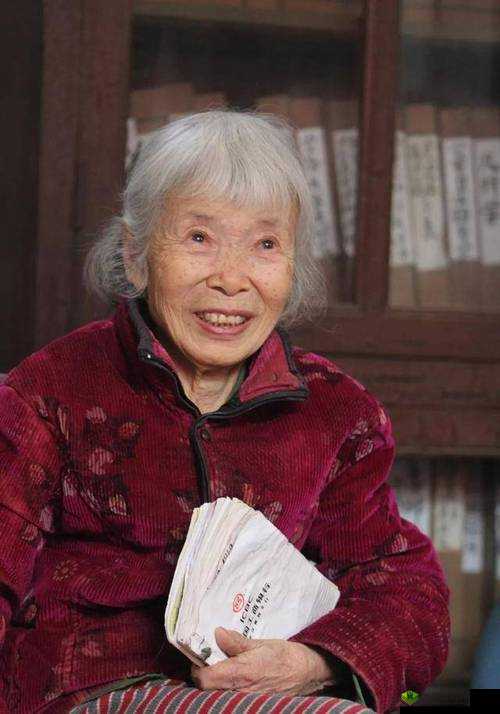 bgmbgmbgm 老太太中国:一位平凡而伟大的中国老人