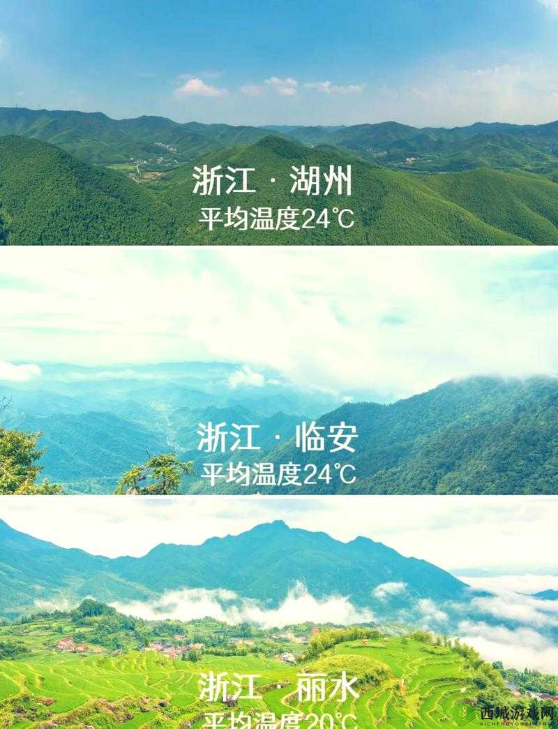 伊春园 2023 入口直达：带你畅享精彩世界