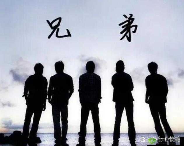 兄弟情深,携手共赴未来之璀璨征程