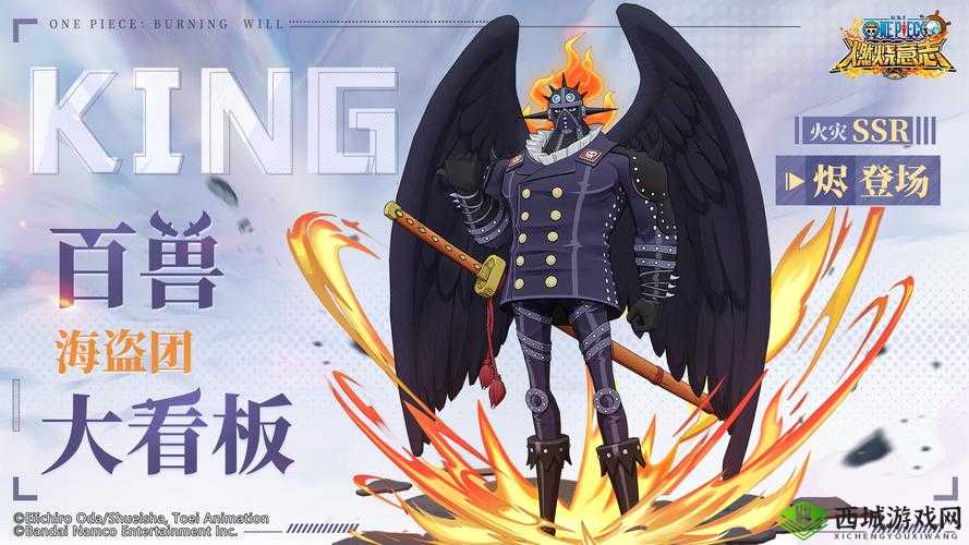 航海王燃烧意志首测人物大全,SSR角色深度剖析