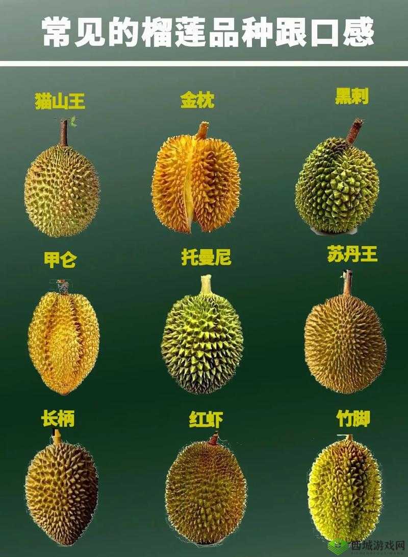 草莓香蕉榴莲9w97w乳液:多种水果与乳液的奇妙组合