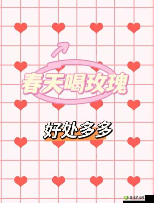 免费进入 B 站哔哩哔哩:好处多多尽享精彩内容