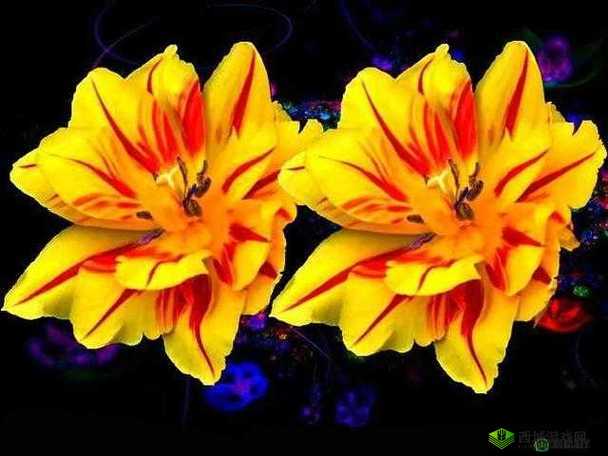 双胞胎奇花的秘密:科技界的奇妙现象