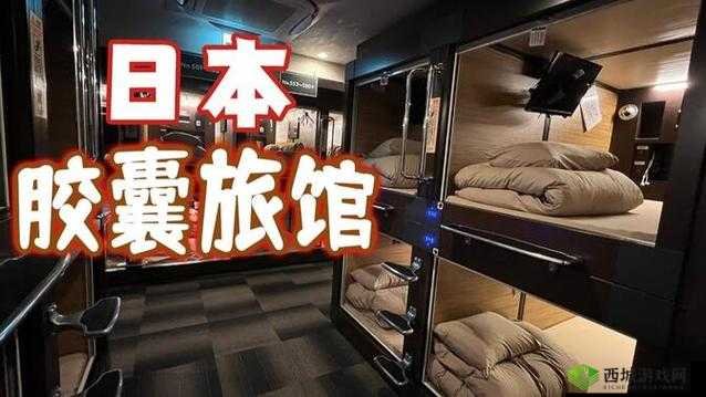 胶囊旅游末班车后胶囊旅馆接档:开启全新的旅行住宿体验之旅
