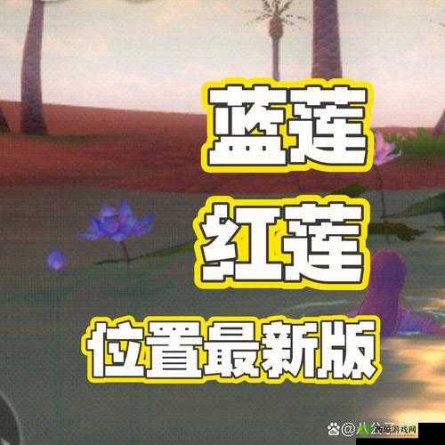 创造与魔法，红蓝莲花秘境探寻，青鸟黑马轻松捕获