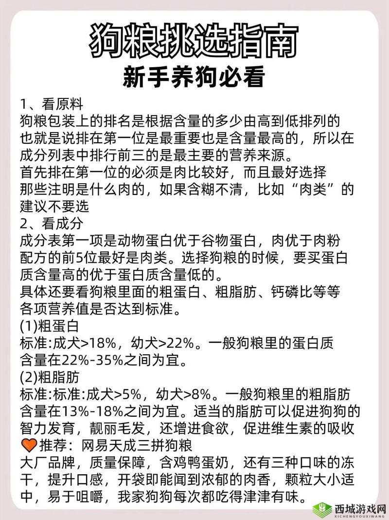 废土危行宠物狗怎么获得,新手养狗攻略在资源管理中的重要性与实践