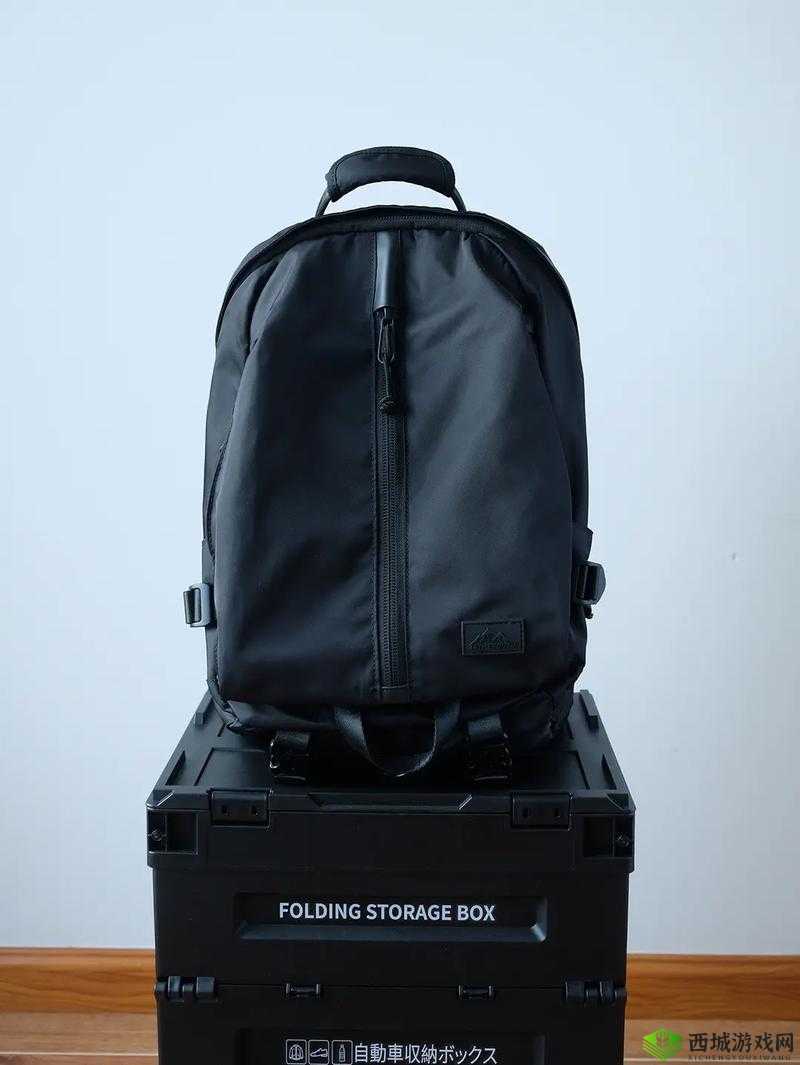 废土危行,轻量背包的合成与资源管理艺术