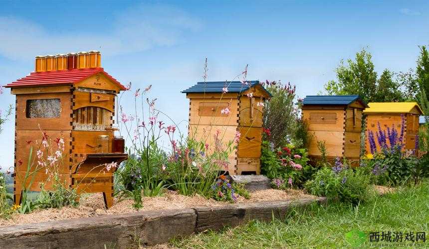 废土危行蜂箱获取与生存工具合成技巧，资源管理的艺术