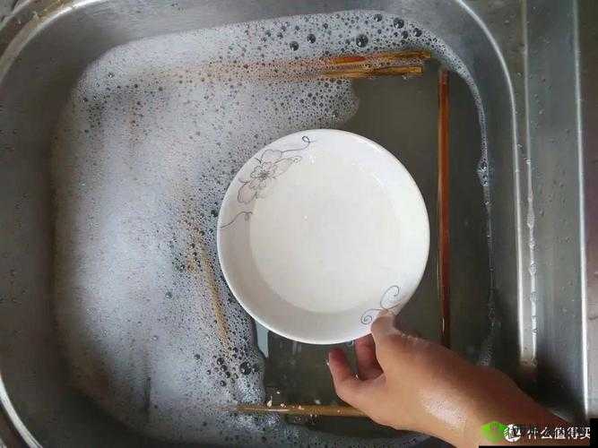 厨房的索要:刷碗智慧的启示